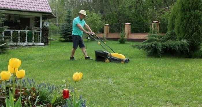 Материалы по теме