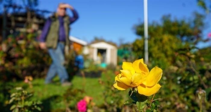 Процедура страхового случая